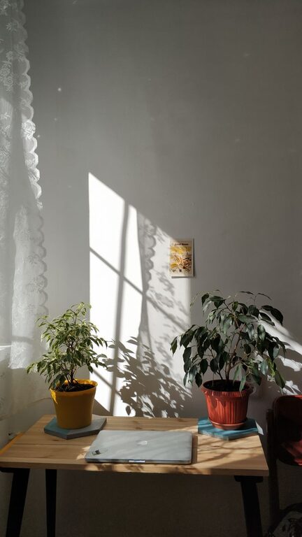 resized_108338